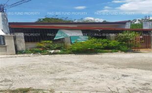 fil4720240820043