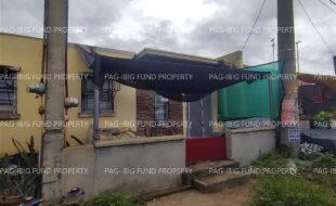 fil4720240924055
