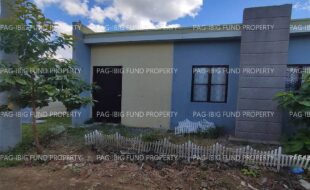 fil4720240928033