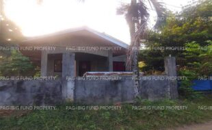 fil4720241203003