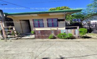 fil4720241209117