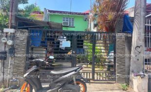 fil4720241219132