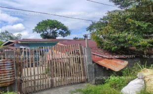 fil4720241226041