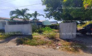 fil4720241227045