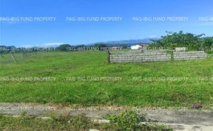 fil4720241227152