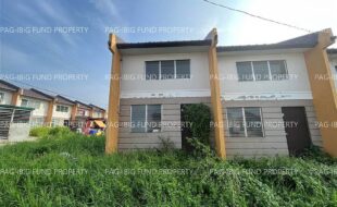 fil4720250207022