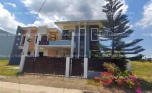 fil4720250411114