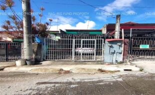 fil4720250507073