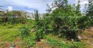 Pag-IBIG ROPA # 804619063000013 - Lot 8 Blk. 3 MOTORPOOL VILLAGE MAYAO CROSSING, CITY OF LUCENA, QUEZON, 4301 - 2nd Public Auction on Jul. 6, 2026 - Jul. 10, 2026