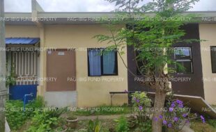 fil4720250709456