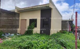 fil4720250902133