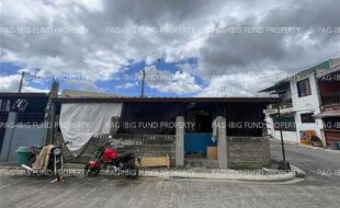 fil4720260218034