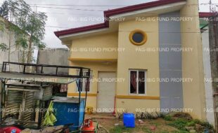 fil4720260220025