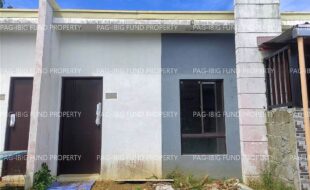 fil4720260220064