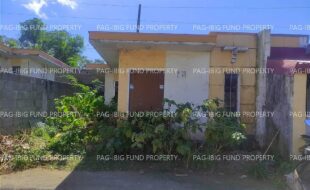 fil4720260304045