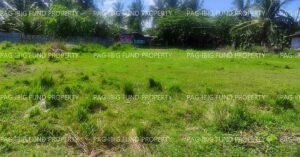 Pag-IBIG ROPA # 854202310310001 - Lot 2-B-5-D NON SUBDIVISION PROPER BANSUD, BANSUD, ORIENTAL MINDORO, 5211 - 1st Public Auction on Jun. 22, 2026 - Jun. 26, 2026