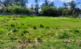 fil4720260306001