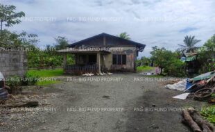 fil4720260316008