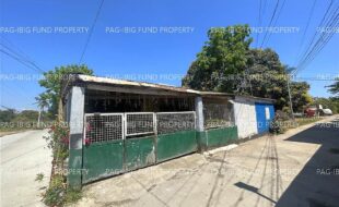 fil4720260416007