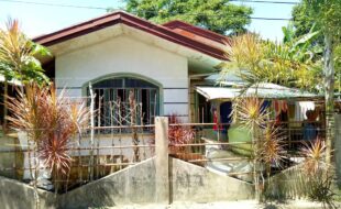fil5320190321004
