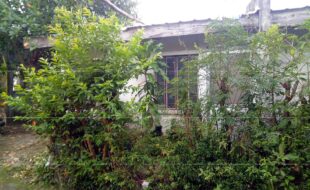 fil5320190809072