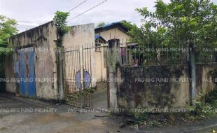 fil5320220802017