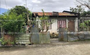 fil5320230310002