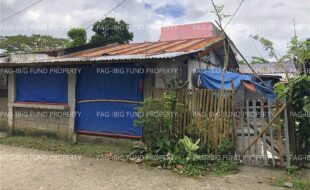fil5320230310008