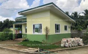 fil5320230428009