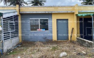 fil5320240320011