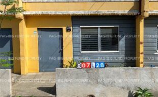 fil5320240703025