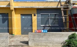 fil5320240703028
