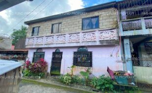 fil5320250311020