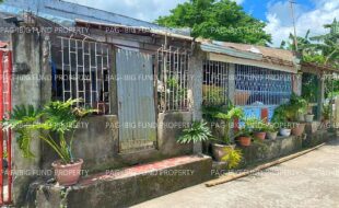 fil5320250415018