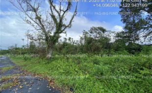 fil5320251125001
