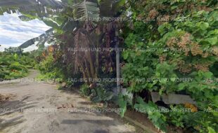 fil5320251202014