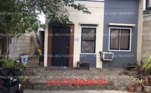 fil5920240201036