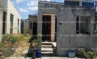 fil5920240313008
