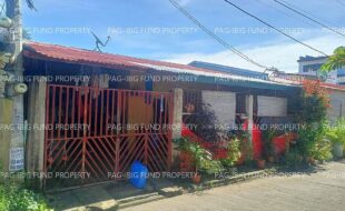 fil5920250206014