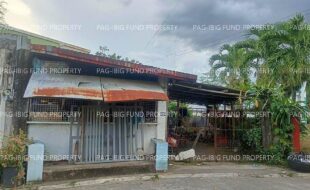 fil5920250424057