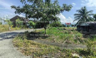 fil5920250925005