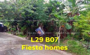 fil5920251020006