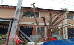 fil5920251110030