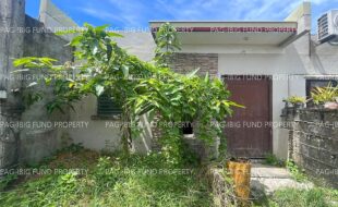 fil5920251201013