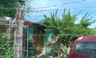 fil5920260112009