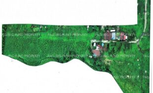 fil5920260213001