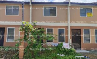 fil5920260226044