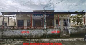 Pag-IBIG ROPA # 859202410260001 - Lot 21 Blk. 54 DECA HOMES SOUTH BACOLOD CABUG, BACOLOD CITY, NEGROS OCCIDENTAL, 6100 - 1st Public Auction on Jun. 22, 2026 - Jun. 26, 2026 (Occupied)