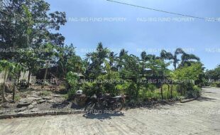 fil5920260507003