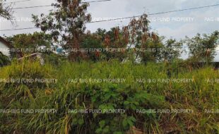 fil5920260525059